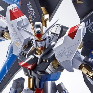 Metal Robot Spirits SIDE MS Strike Freedom Gundam
Re:Coordinate